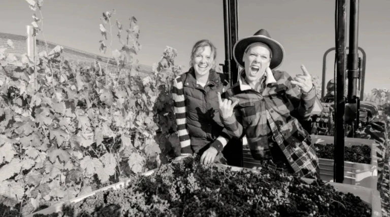 Pink bought 200-acre California ranch; 13 years later, it became a vineyard